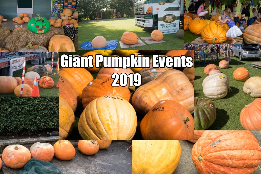 Giant Pumpkin Events 2019 – The List